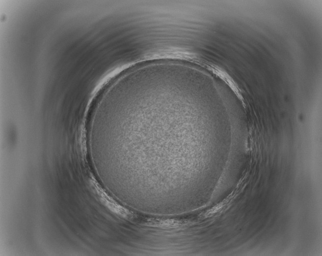 X0000085811072200703231330