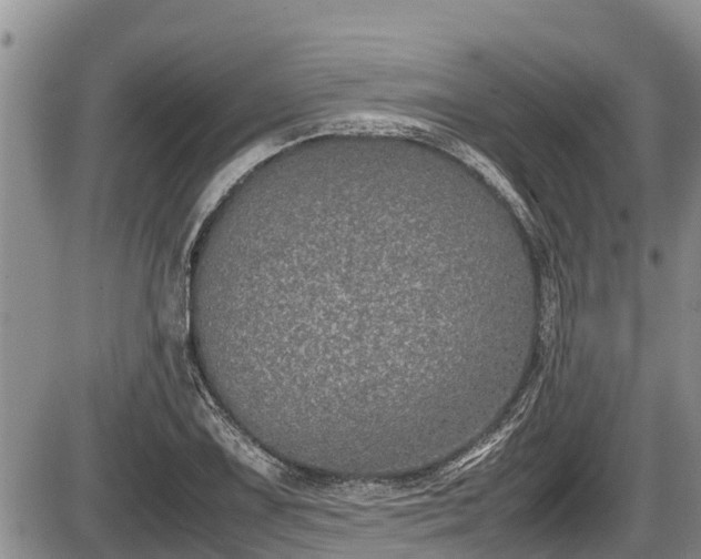 X0000085811075200703231330