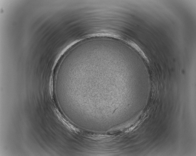 X0000085811076200703231330