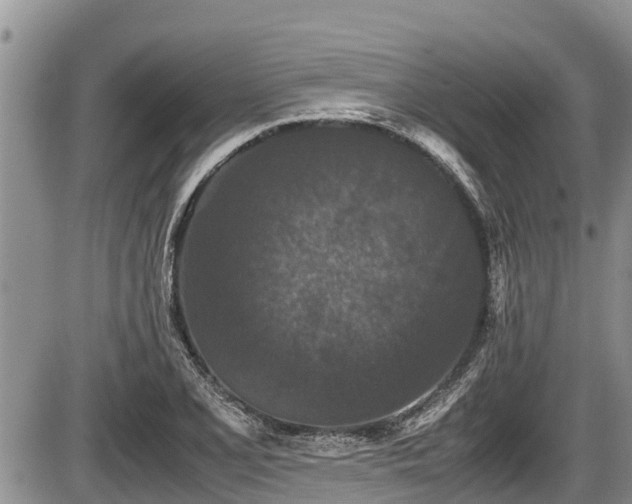 X0000085811077200703231330