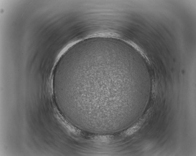 X0000085811078200703231329