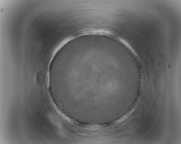 X0000085811079200703231329