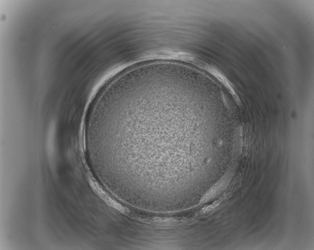 X0000085811080200703231329