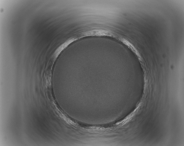 X0000085811081200703231329