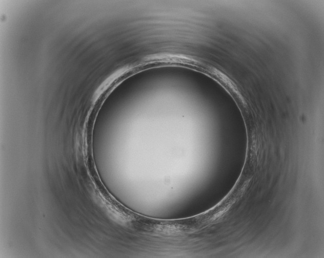 X0000085811082200703231329