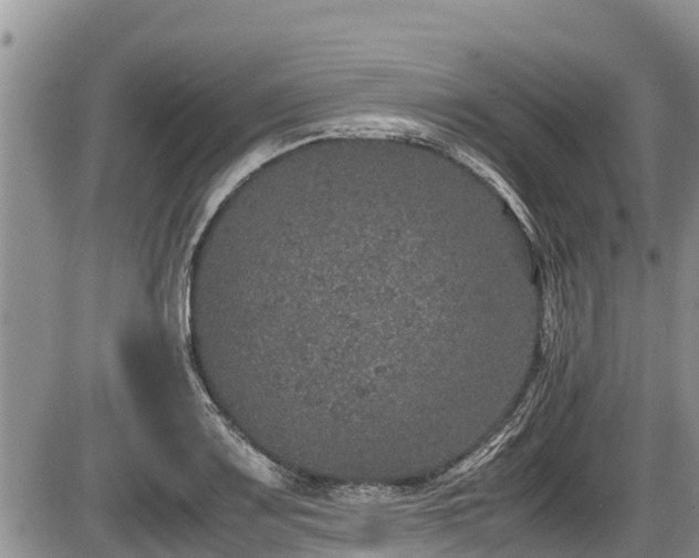 X0000085811083200703231329