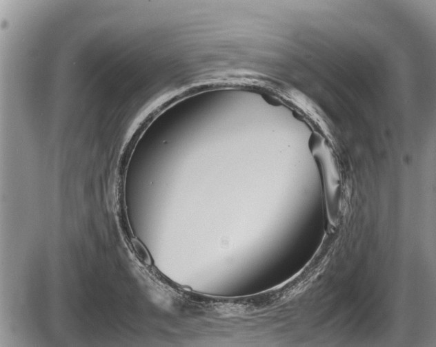 X0000085811085200703231329