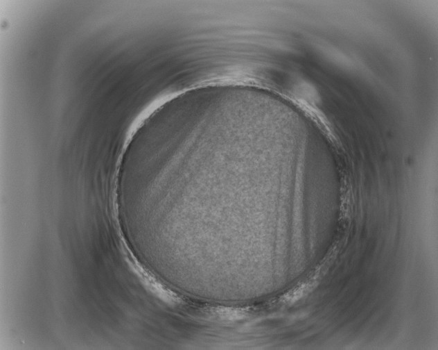 X0000085811086200703231329