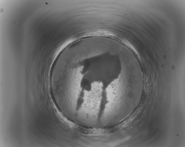 X0000085811087200703231329