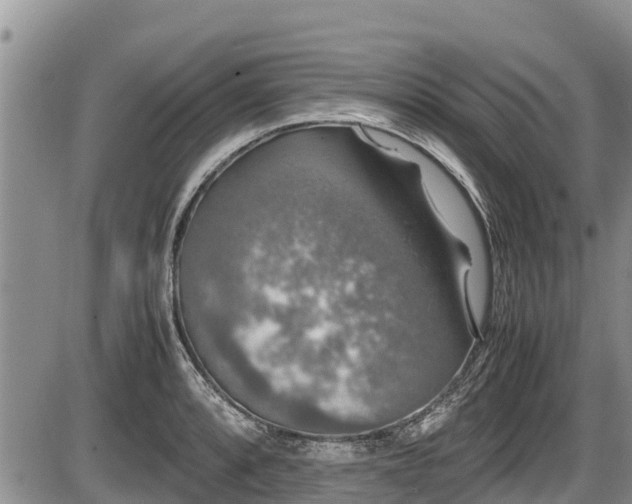 X0000085811088200703231329