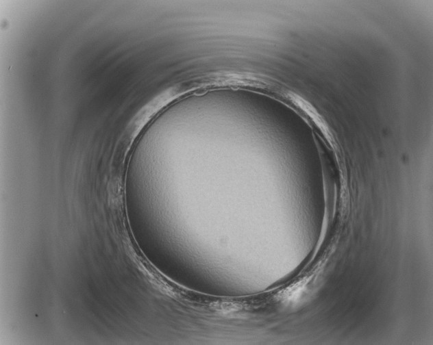 X0000085811089200703231329