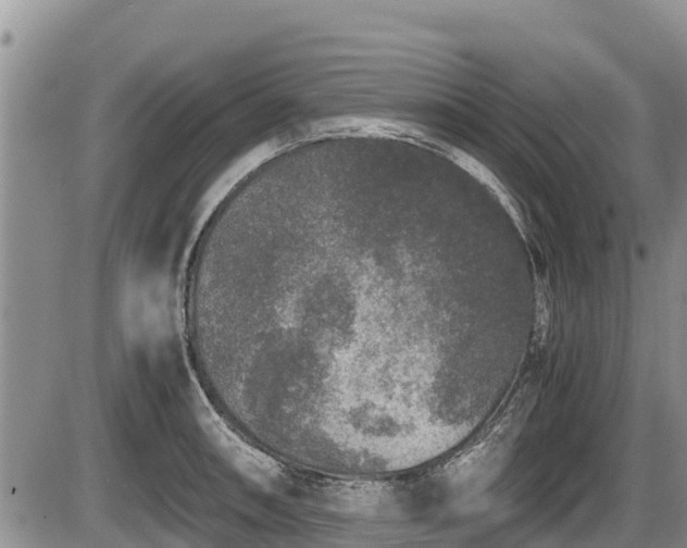 X0000085811090200703231329