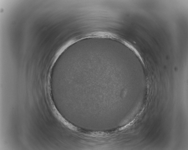 X0000085811091200703231329