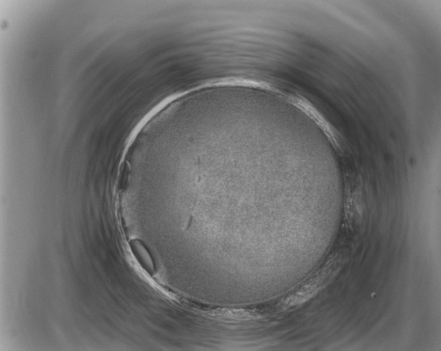 X0000085811092200703231329