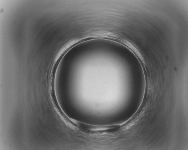 X0000085811093200703231329