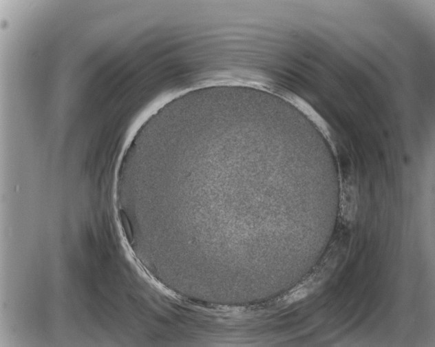 X0000085811096200703231329