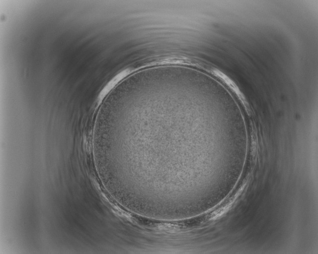 X0000085811097200703231329