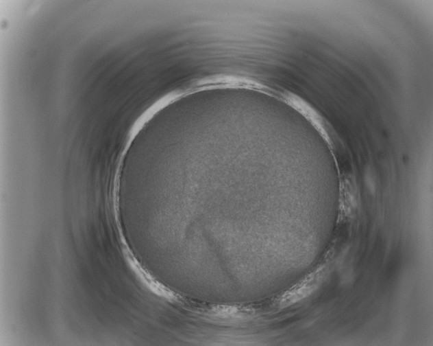 X0000085811098200703231329