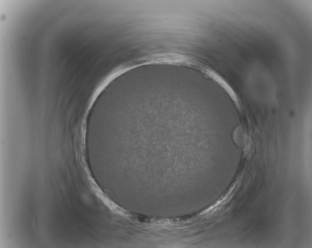 X0000085811099200703231329