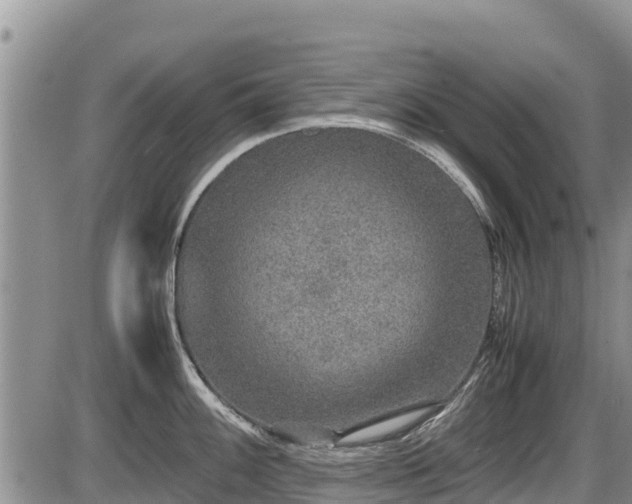 X0000085811100200703231329