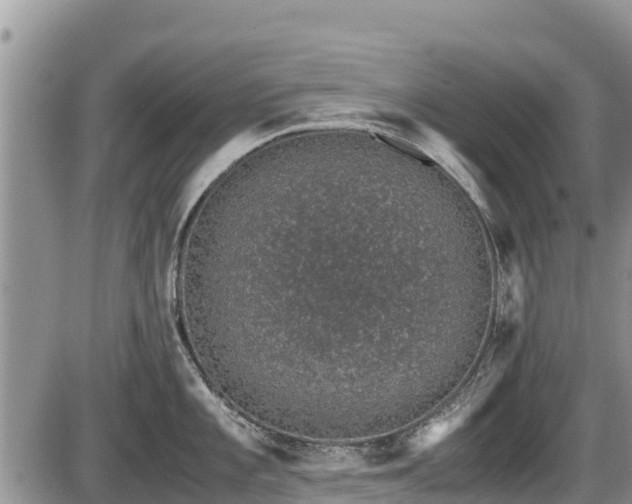 X0000085811101200703231329