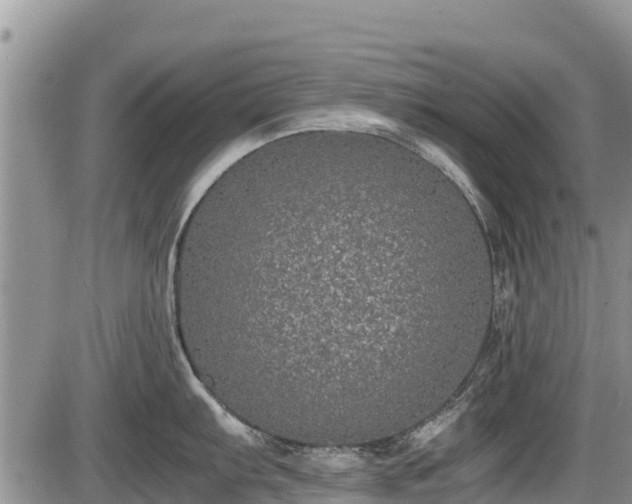 X0000085811103200703231329