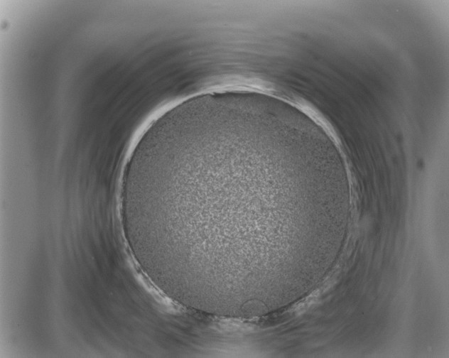 X0000085811104200703231329