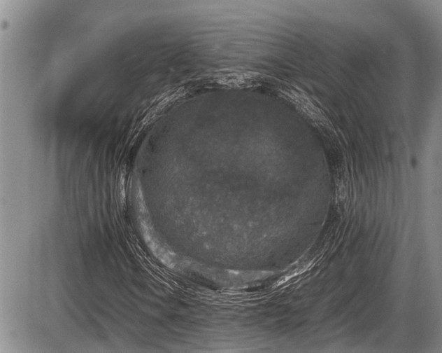 X0000085811106200703231328