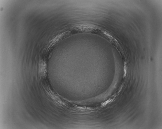 X0000085811108200703231328