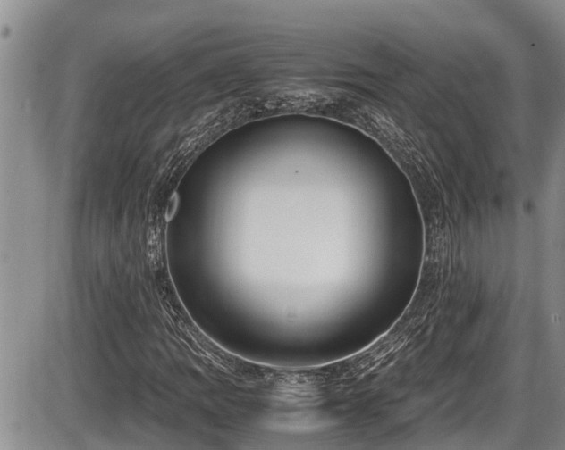 X0000085811109200703231328