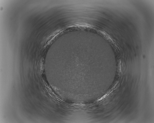 X0000085811110200703231328