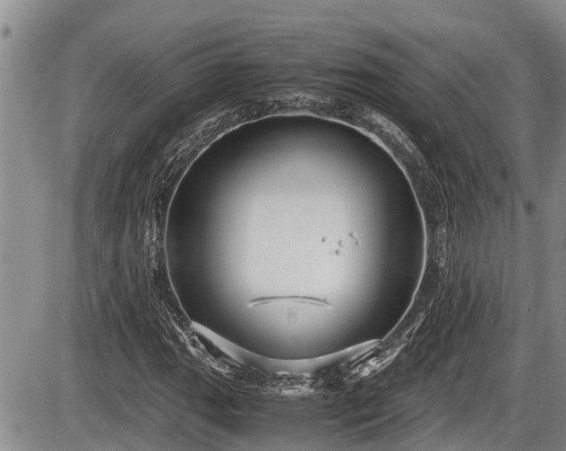 X0000085811111200703231328