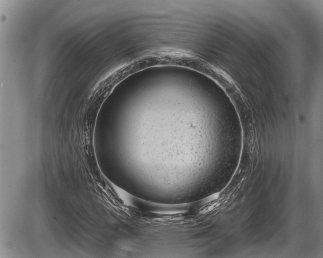 X0000085811112200703231328