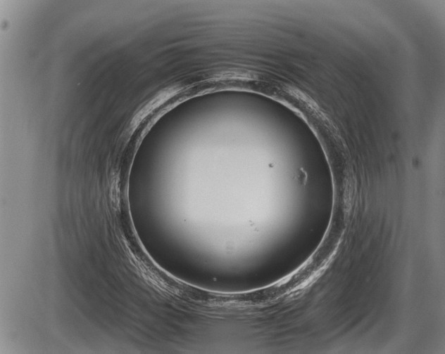 X0000085811113200703231328