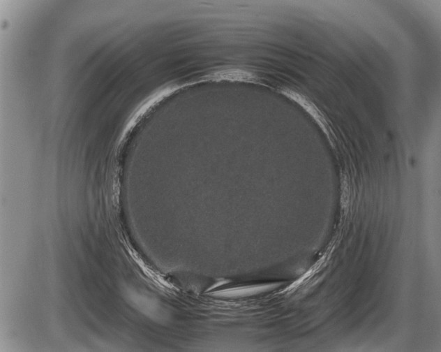 X0000085811115200703231328