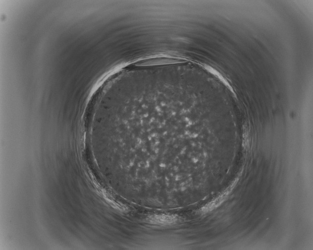 X0000085811117200703231328