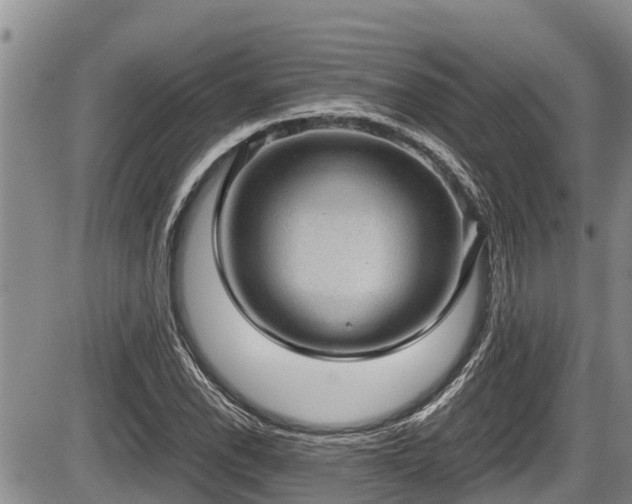 X0000085811118200703231328