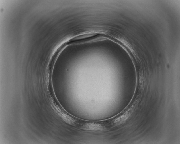 X0000085811119200703231328