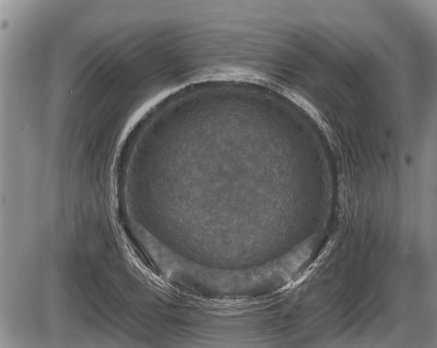 X0000085811120200703231328