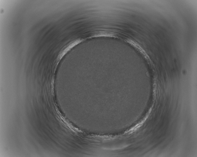 X0000085811121200703231329