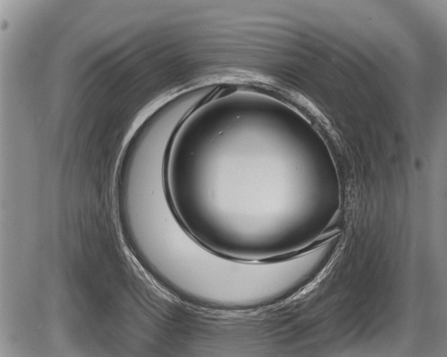 X0000085811122200703231329