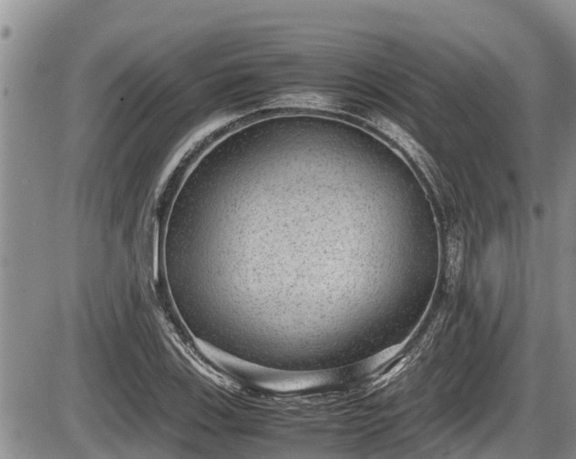 X0000085811123200703231329