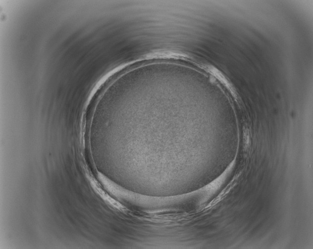 X0000085811124200703231329