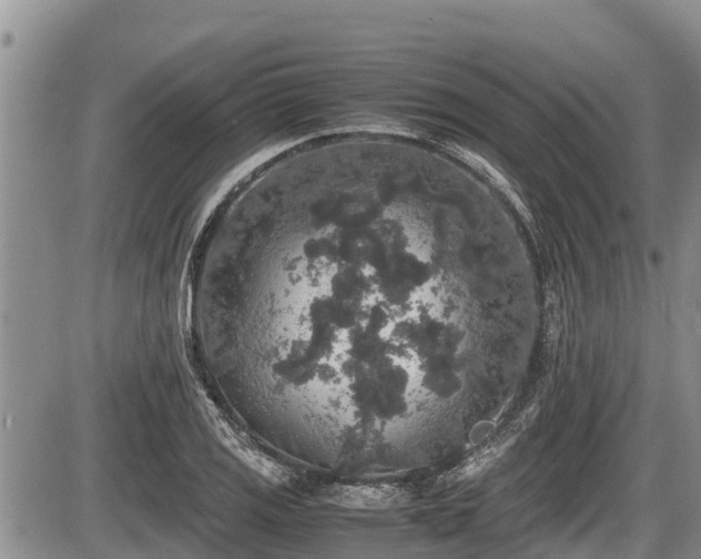 X0000085811125200703231329