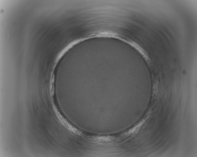 X0000085811126200703231329