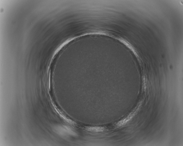 X0000085811127200703231329