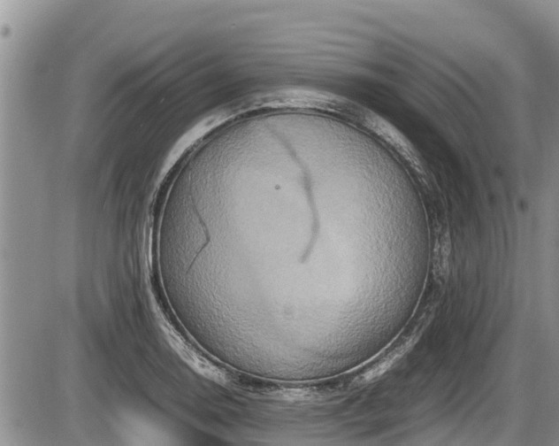 X0000085811130200703231329