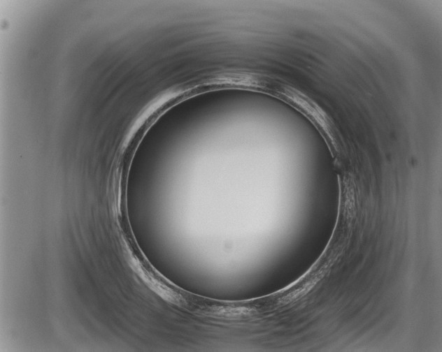 X0000085811131200703231329