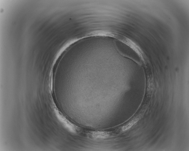 X0000085811132200703231329