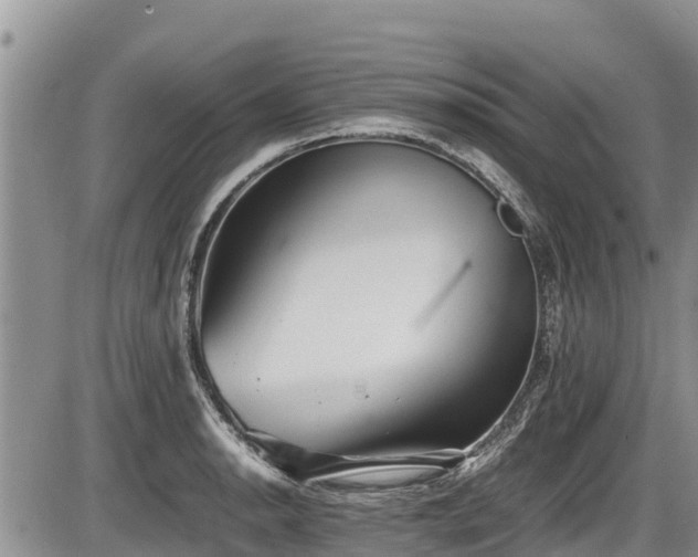 X0000085811134200703231329